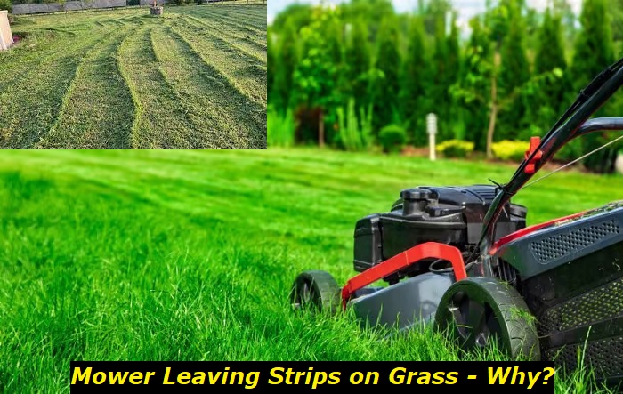 mower leaving strips